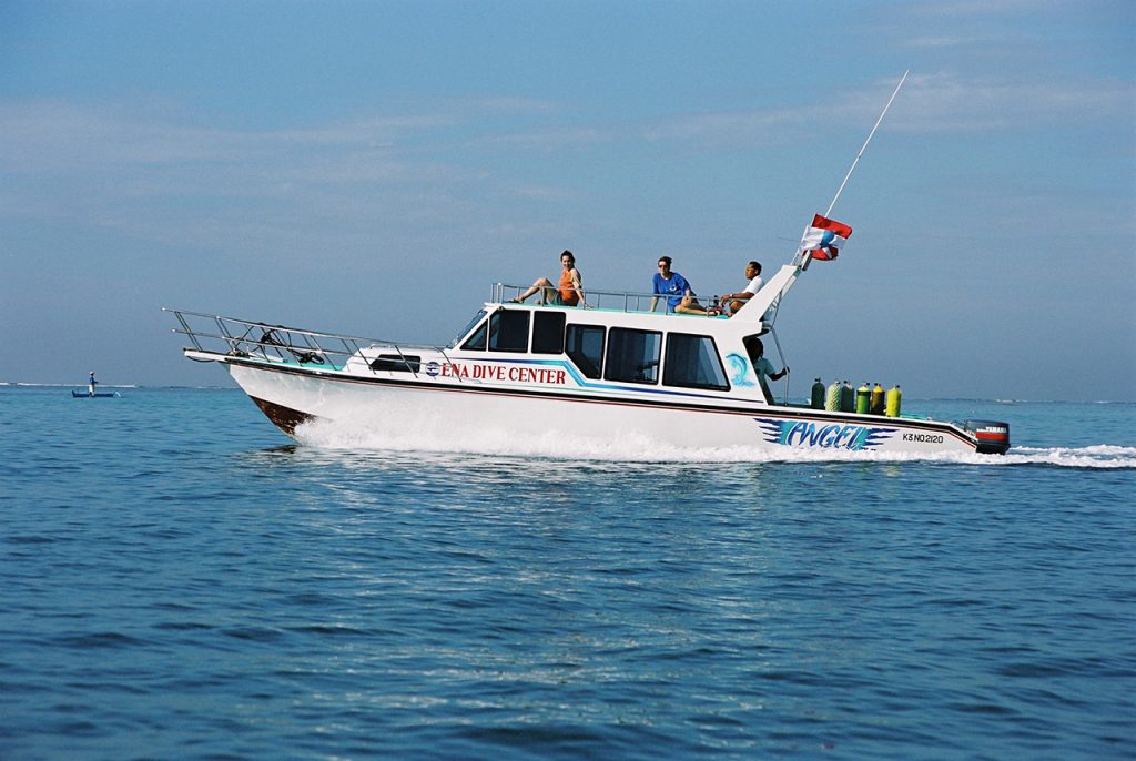 Special Charter Boat Diving by Ena - Bali Diving Activities