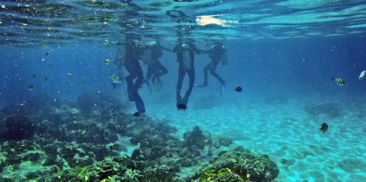 Nusa Penida Diving - Nusa Penida Tours