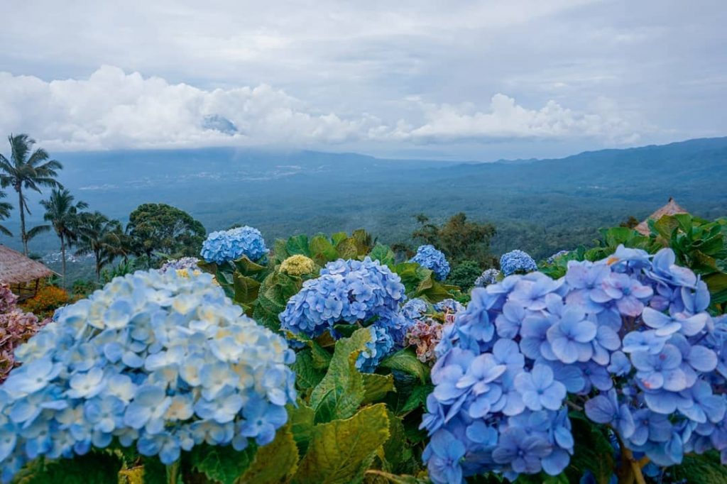 4D3N Bunaken Minahasa Likupang - Manado Explorer