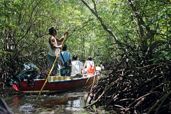 Lembongan Mangrove Tour - Lembongan Activities