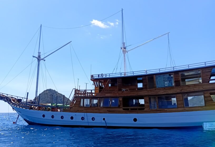 Private Trip by Medina Mecca Deluxe Phinisi - Komodo Sharing Tours