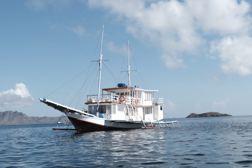 Private Trip by Vielle Deluxe Phinis - Komodo Sharing Tours