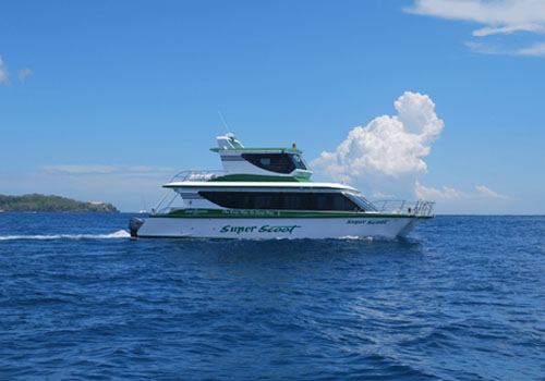 Lembongan Island Day Packages with Scoot Fast Cruise - Lembongan Activities