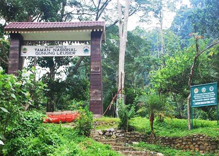 Medan - Leuser National Park Trekking 6 Days 5 Nights - Sumatra Adventure