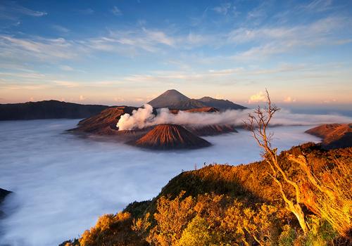 Bromo Batu Tretes Taman Safari Tour  - Mount Bromo