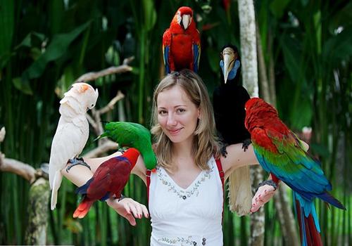 Bali Bird Park - Bali Fun Activities