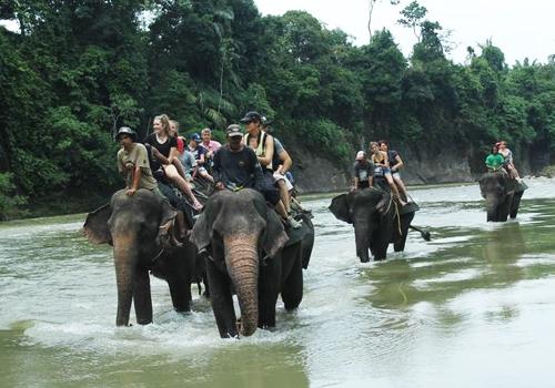 Great Sumatra Adventure 16 Days - Sumatra Adventure