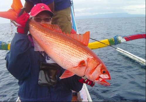 Traditional Boat Fishing - Bali Fishing Trips